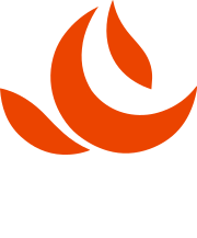 STS Logo